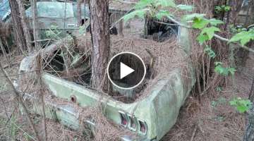Barn Finds - 56 Classic Mustangs Discovered in Woods in Louisiana