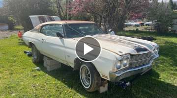 Muscle Car Hoard Found In The Utah Desert Strikes Gold With Real 1970 Chevelle SS454 LS6!!!