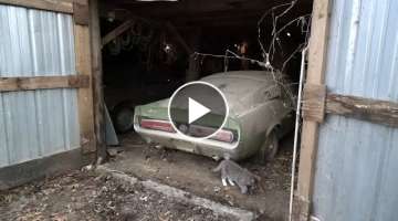 1967 Shelby GT500 Barn Find & Appraisal Price Paid