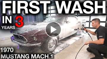 First Wash in 3 Years 1970 Ford Mustang Mach 1