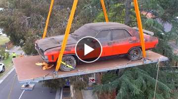 Aussie Muscle Car Barn Find & Rescue! Mission Impossible....Almost.